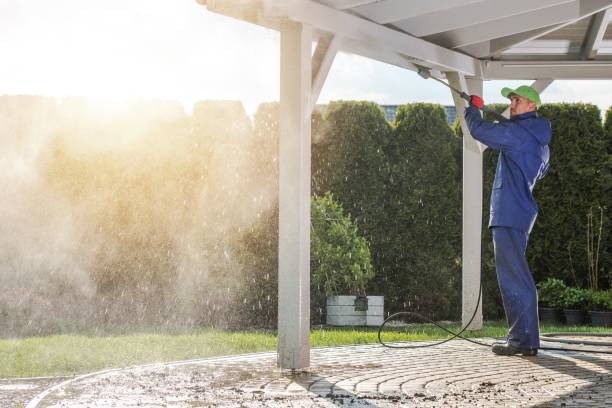 Best Graffiti Removal Services in Dayton, NJ